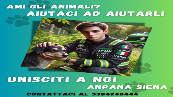 Contattaci