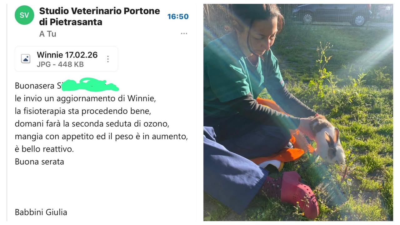 Anpana  Sezione di Siena ODV