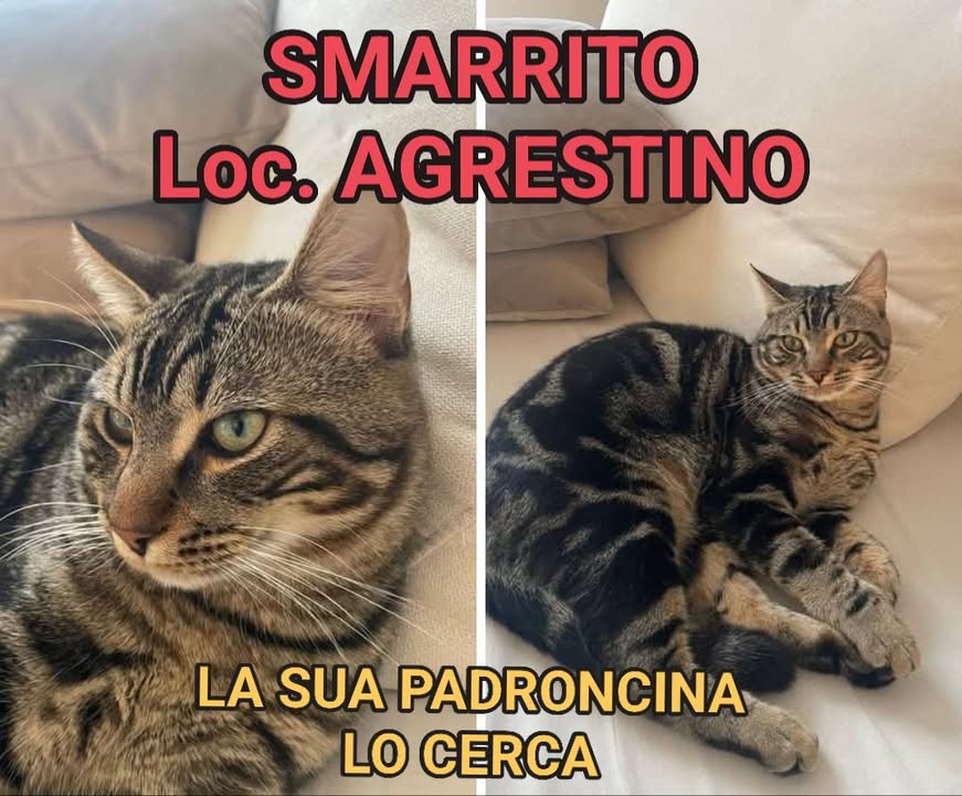 Anpana  Sezione di Siena ODV