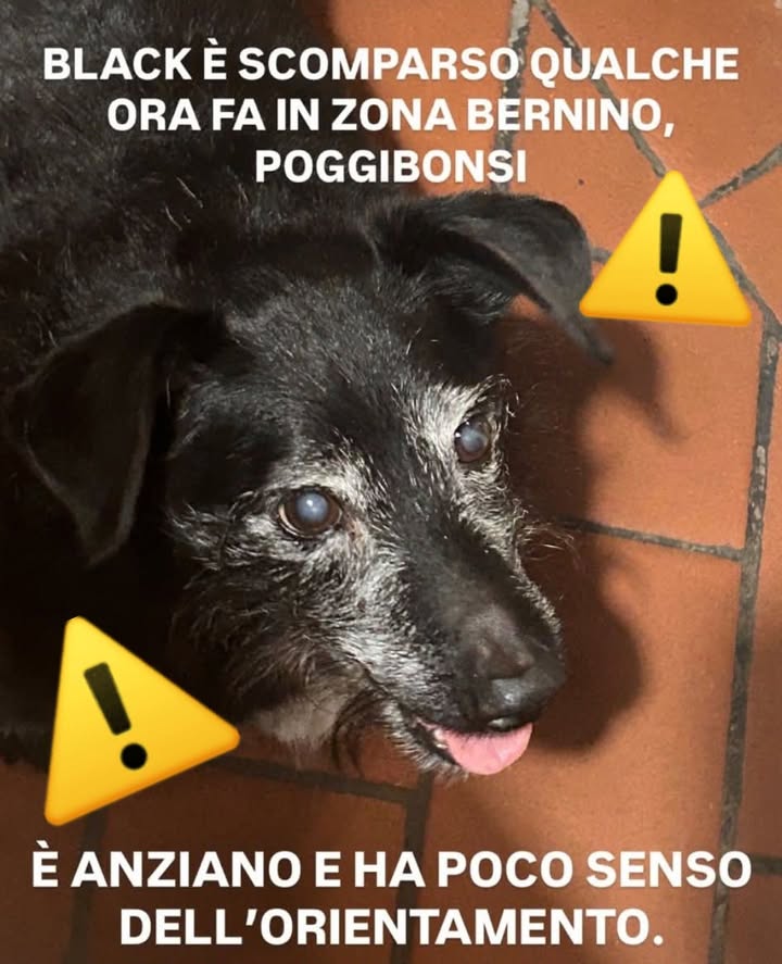 Anpana  Sezione di Siena ODV