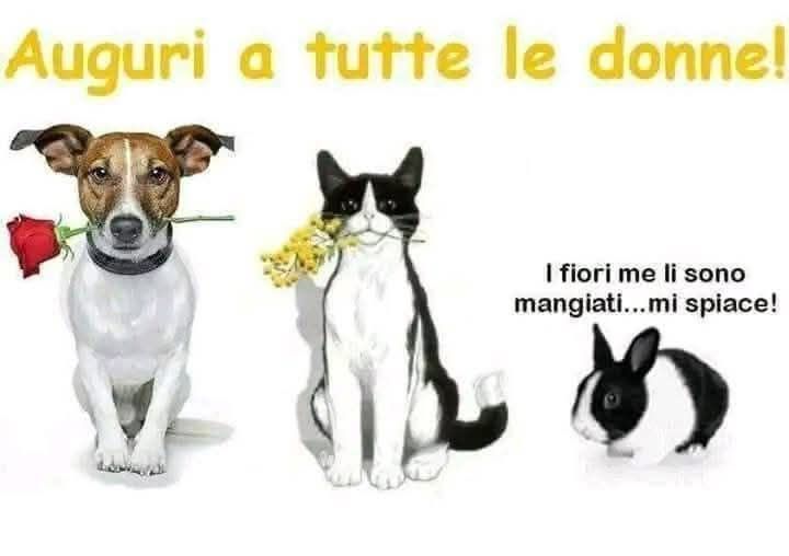 Anpana  Sezione di Siena ODV