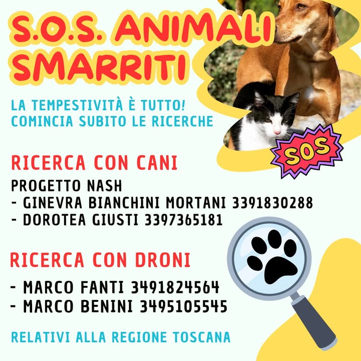 Anpana  Sezione di Siena ODV