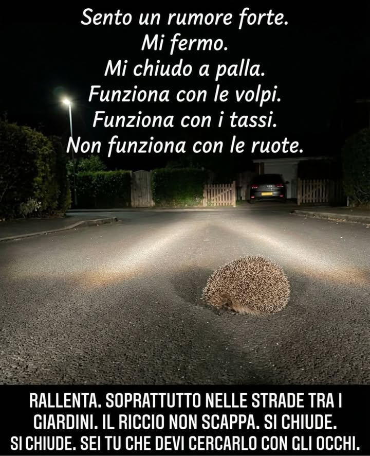 Anpana  Sezione di Siena ODV