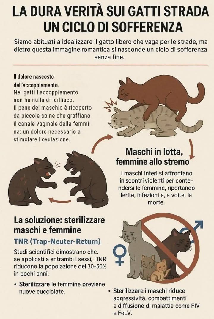 Anpana  Sezione di Siena ODV