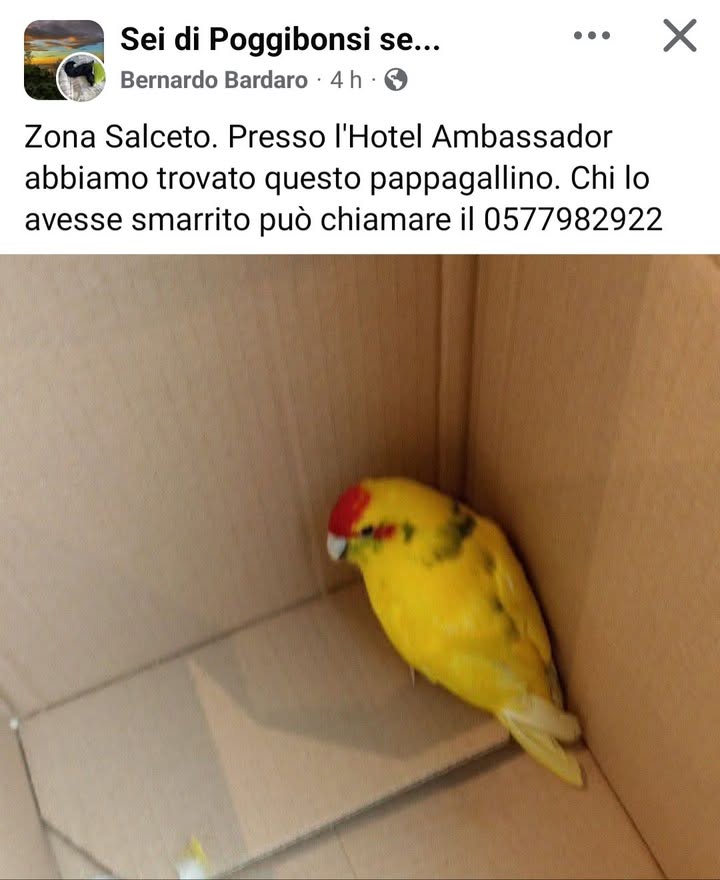 Anpana  Sezione di Siena ODV