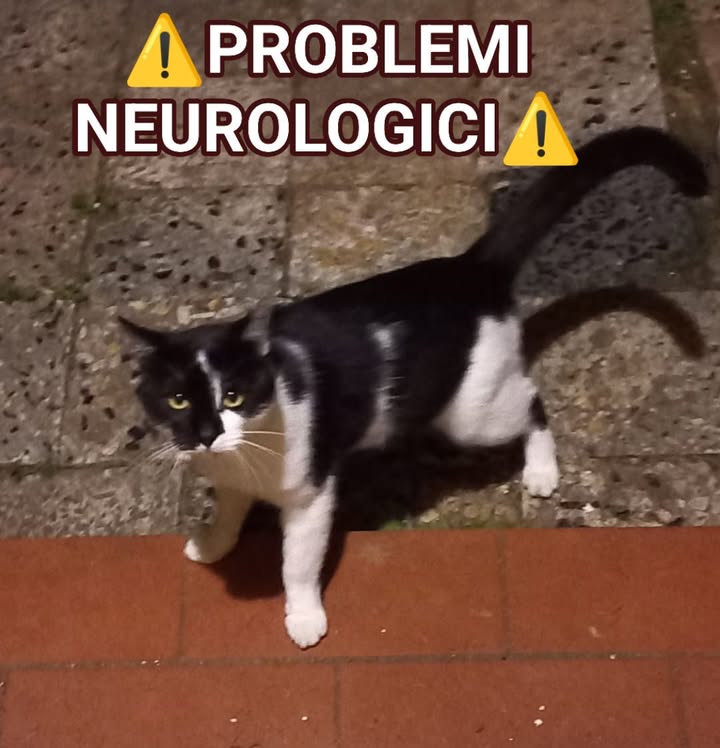 Anpana  Sezione di Siena ODV