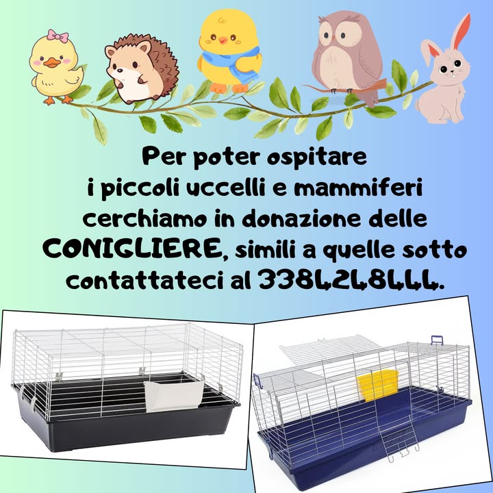 Anpana  Sezione di Siena ODV