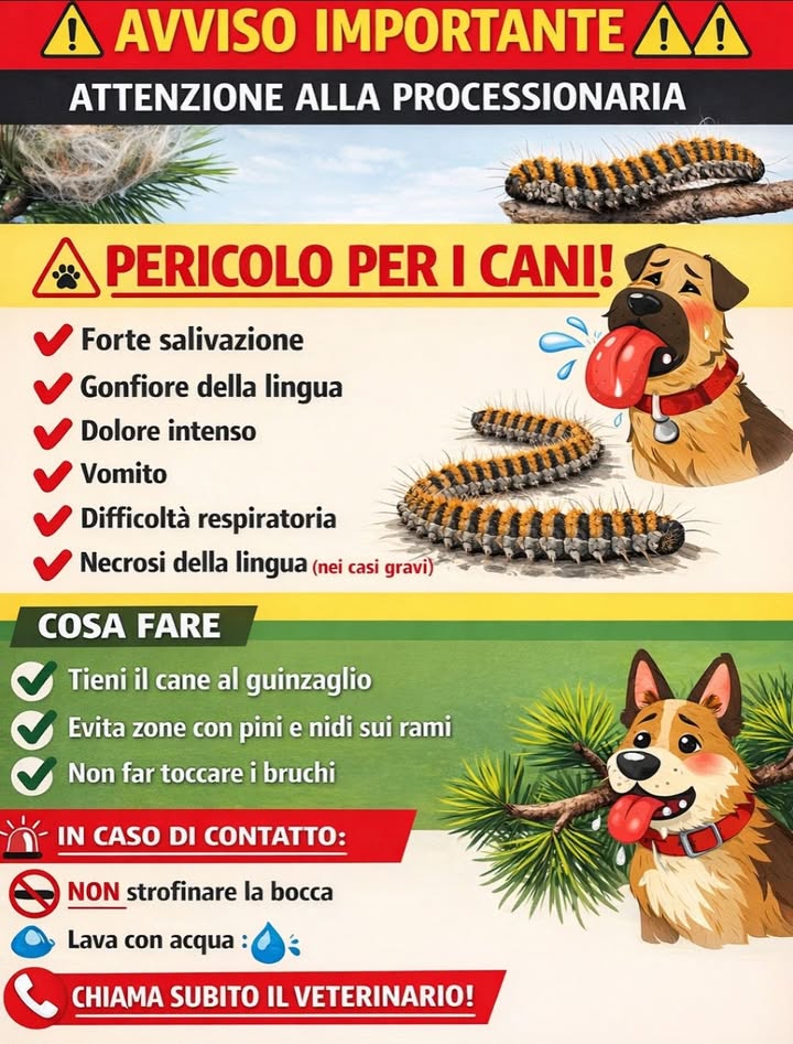 Anpana  Sezione di Siena ODV