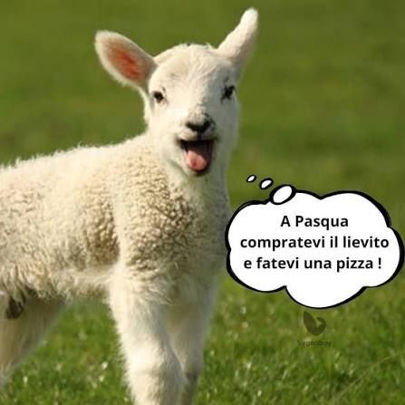 Anpana  Sezione di Siena ODV