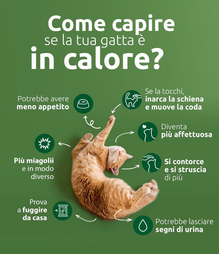 Anpana  Sezione di Siena ODV