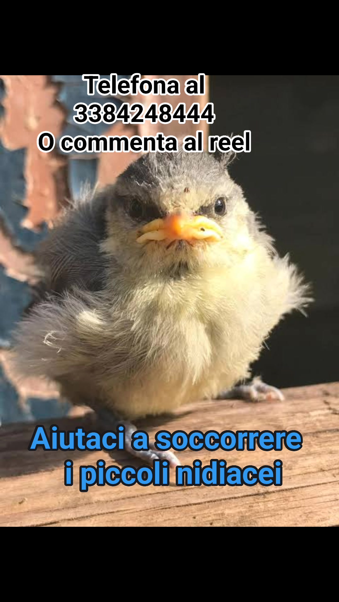 Anpana  Sezione di Siena ODV