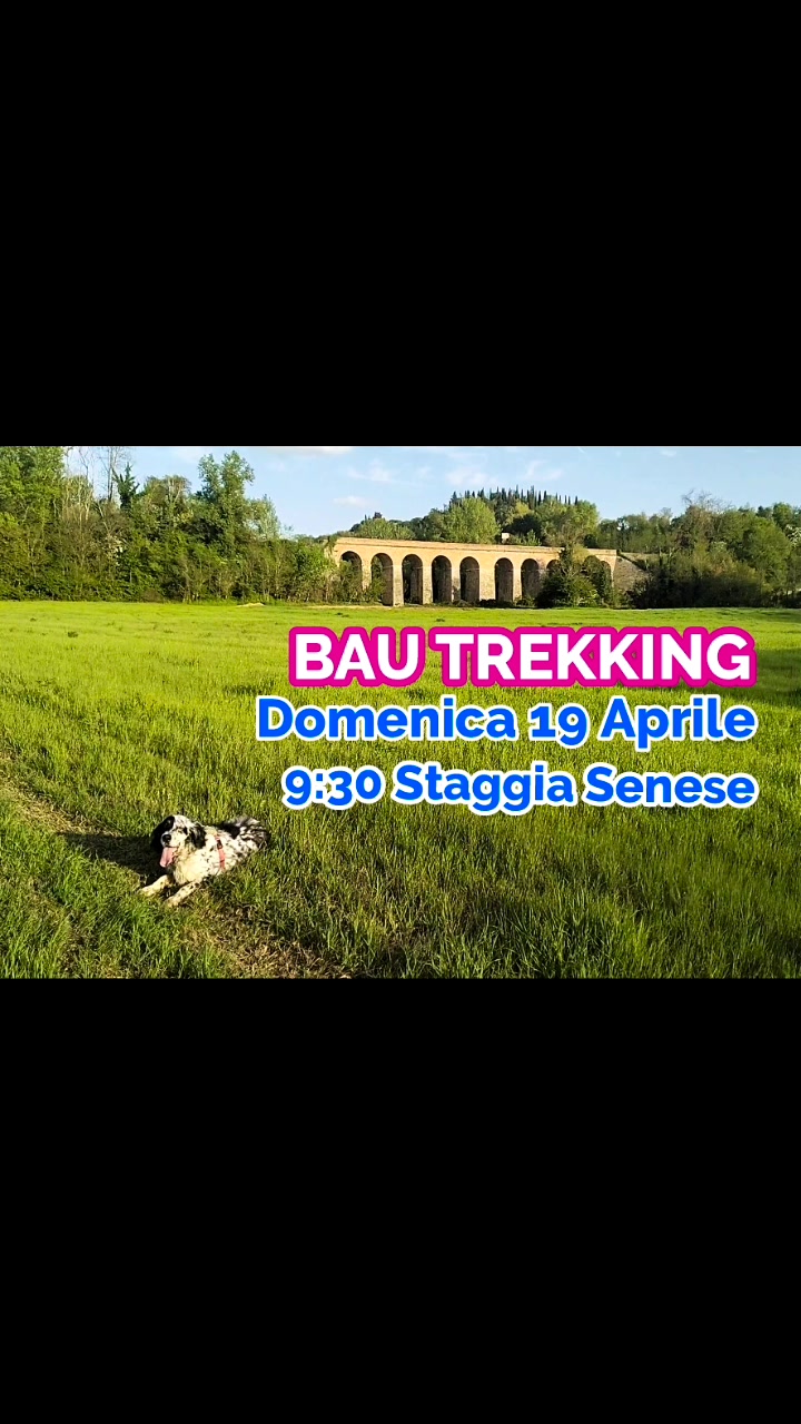 Anpana  Sezione di Siena ODV