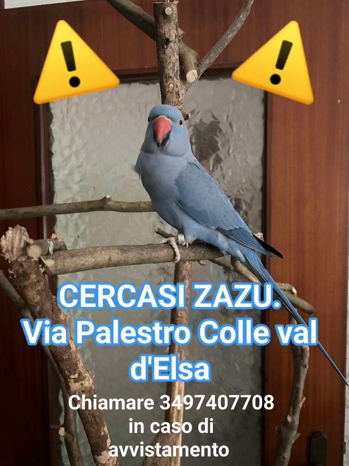 Anpana  Sezione di Siena ODV