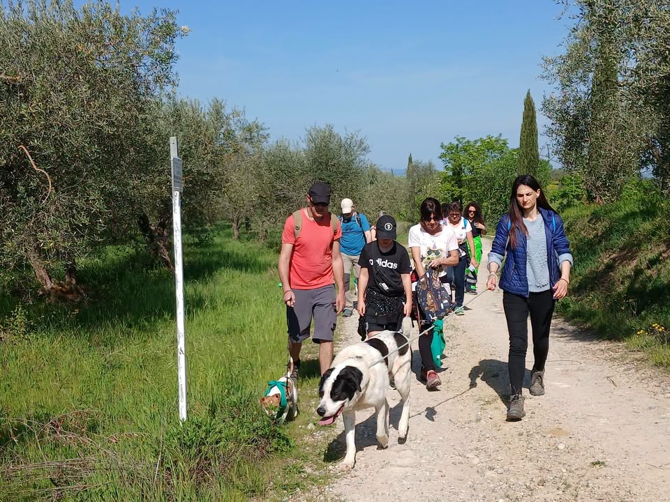Anpana  Sezione di Siena ODV