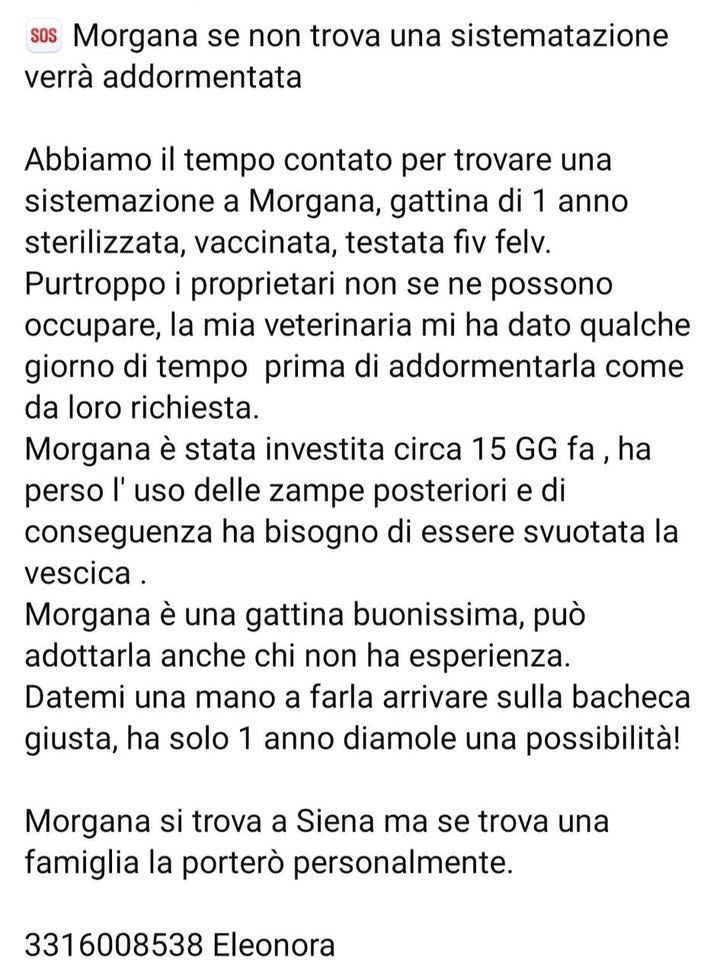 Anpana  Sezione di Siena ODV