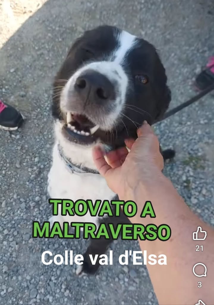 Anpana  Sezione di Siena ODV