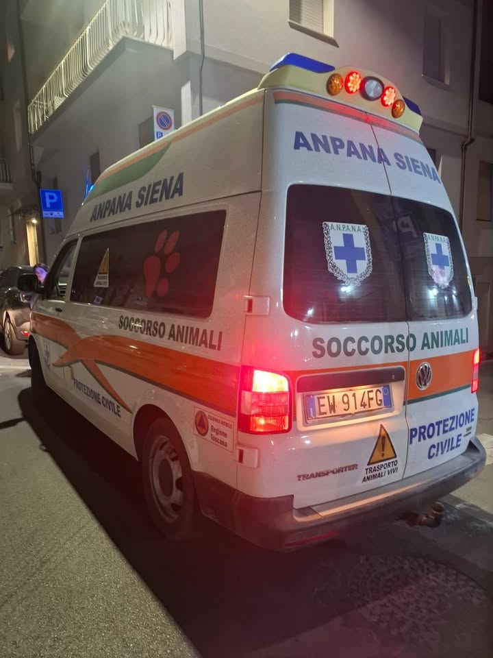 Anpana  Sezione di Siena ODV