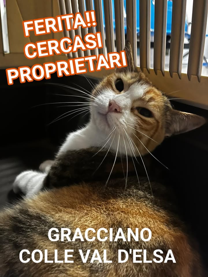Anpana  Sezione di Siena ODV