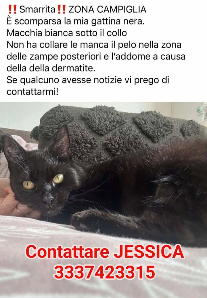 Anpana  Sezione di Siena ODV