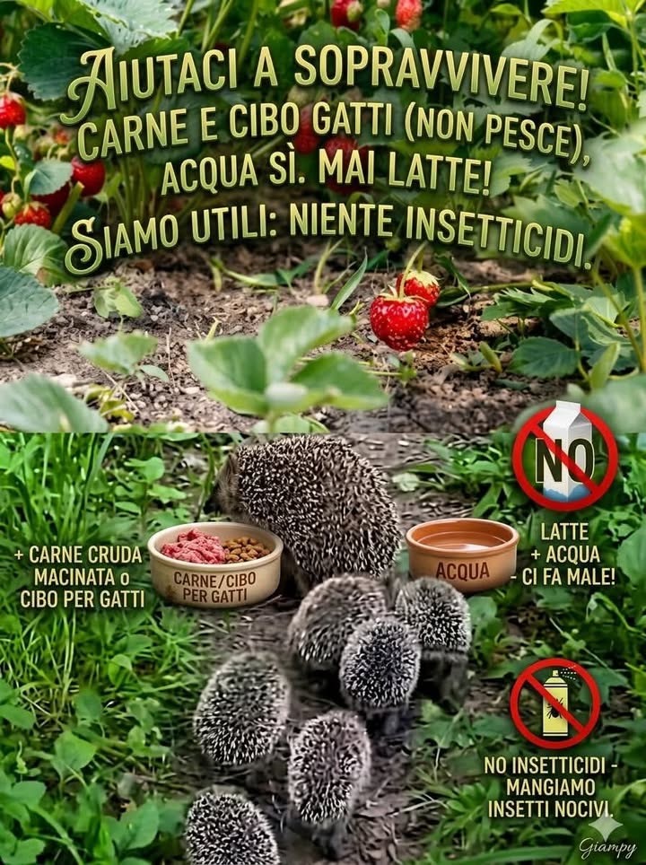 Anpana  Sezione di Siena ODV