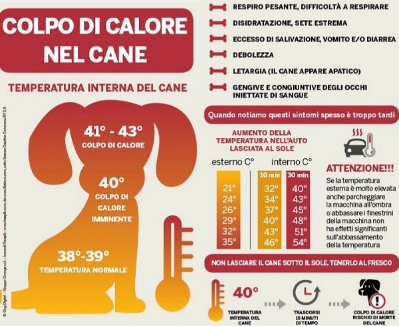 Anpana  Sezione di Siena ODV