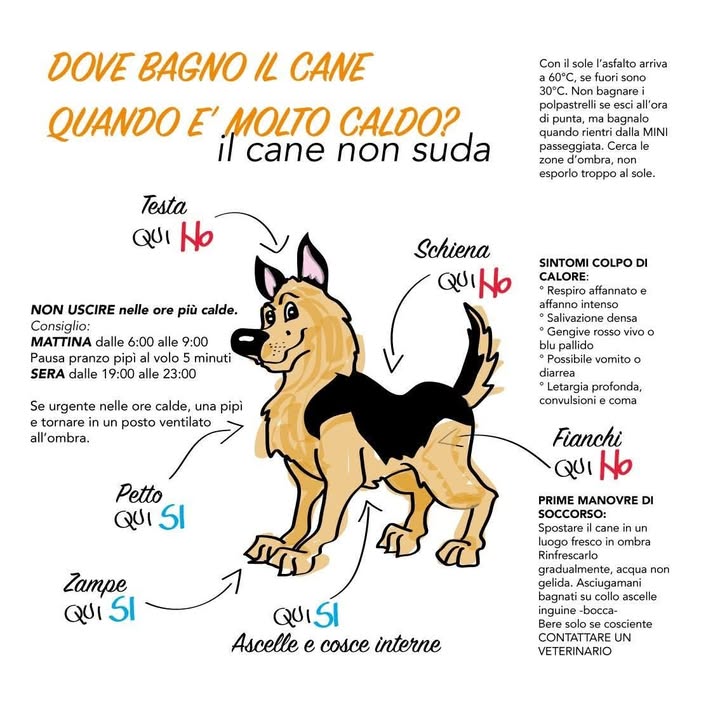 Anpana  Sezione di Siena ODV