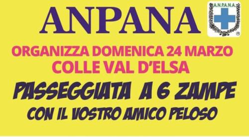 Passeggiata a 6 zampe 24.03.2024