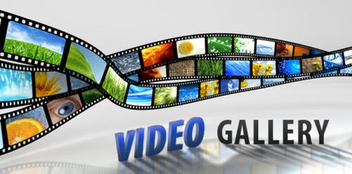 Video Gallery